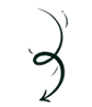 Arrow